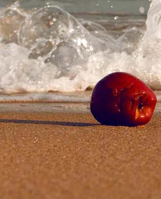 Poma arrugada davant del mar. Envelliment actiu_Cono y Bastón_Flickr