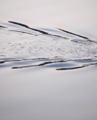 Aigua que deixa rastre_Sili[k]_Flickr