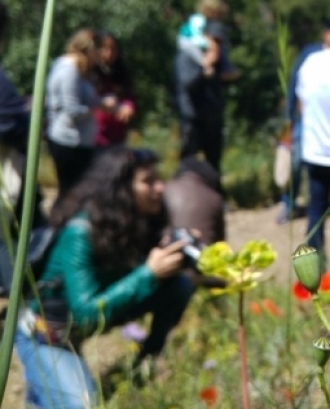 Presentació del projecte de ciència ciutadana Ritme Natura a Barcelona