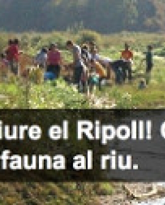 Projecte de recuperació del riu Ripoll de l'Adenc (imatge: adenc.cat)