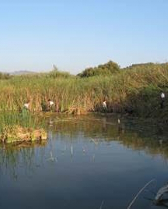 Jornada de voluntariat ambiental a la llacuna de Sebes el diumenge 30 d'octubre (imatge: reservanaturalsebes.org)
