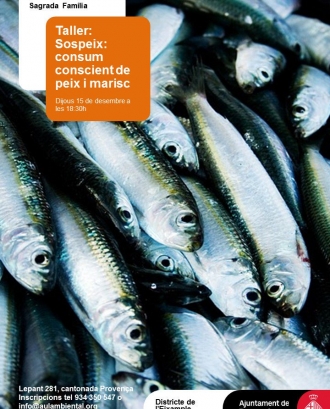 Taller sobre consum sostenible de peix amb SOS Peix (imatge: aulaambiental.org)