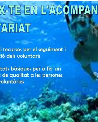 EEV2015-Tècniques i recursos per a l'acompanyament del voluntariat
