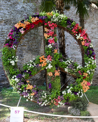 Símbol de la pau fet amb flors. Font: Flickr - Joanbrebo