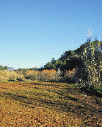 Adenc i Gpenat presenten el projecte Parc Grípia Ribatallada a Sabadell (imatge: anellaverda.terrassa.cat)
