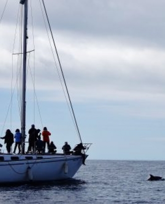 Sortida en vaixell per veure cetacis (imatge: depana.org)