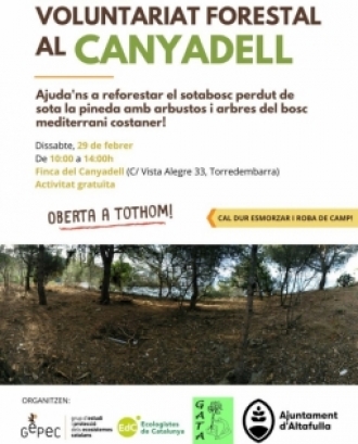 Voluntariat Forestal al Canyadell