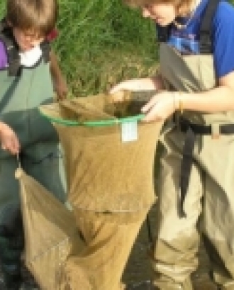 Voluntariat ambiental a les Basses de Fontajau.