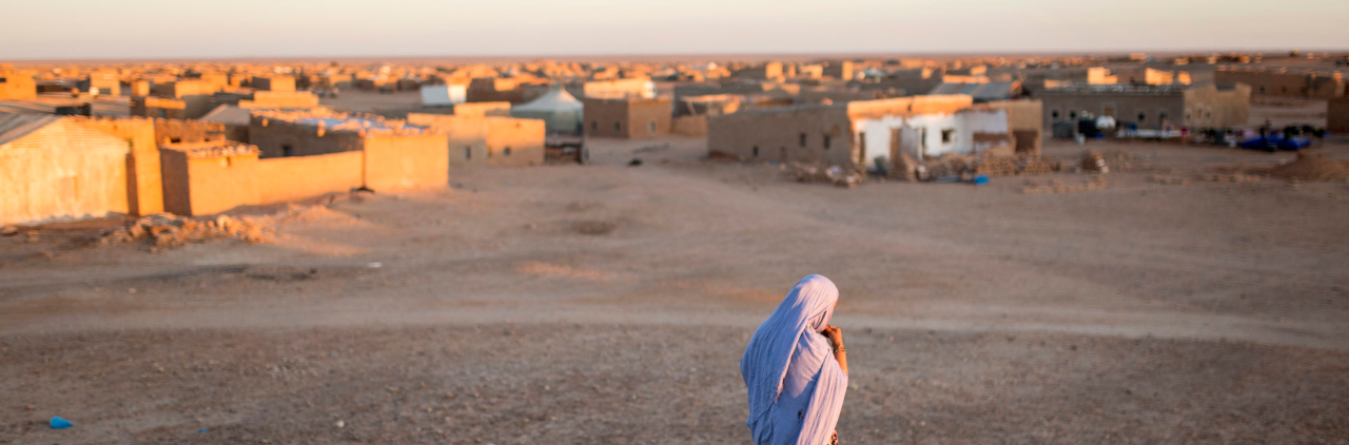 ACAPS treballa al Sàhara Occidental pels drets del poble sahrauí. Font: ACAPS
