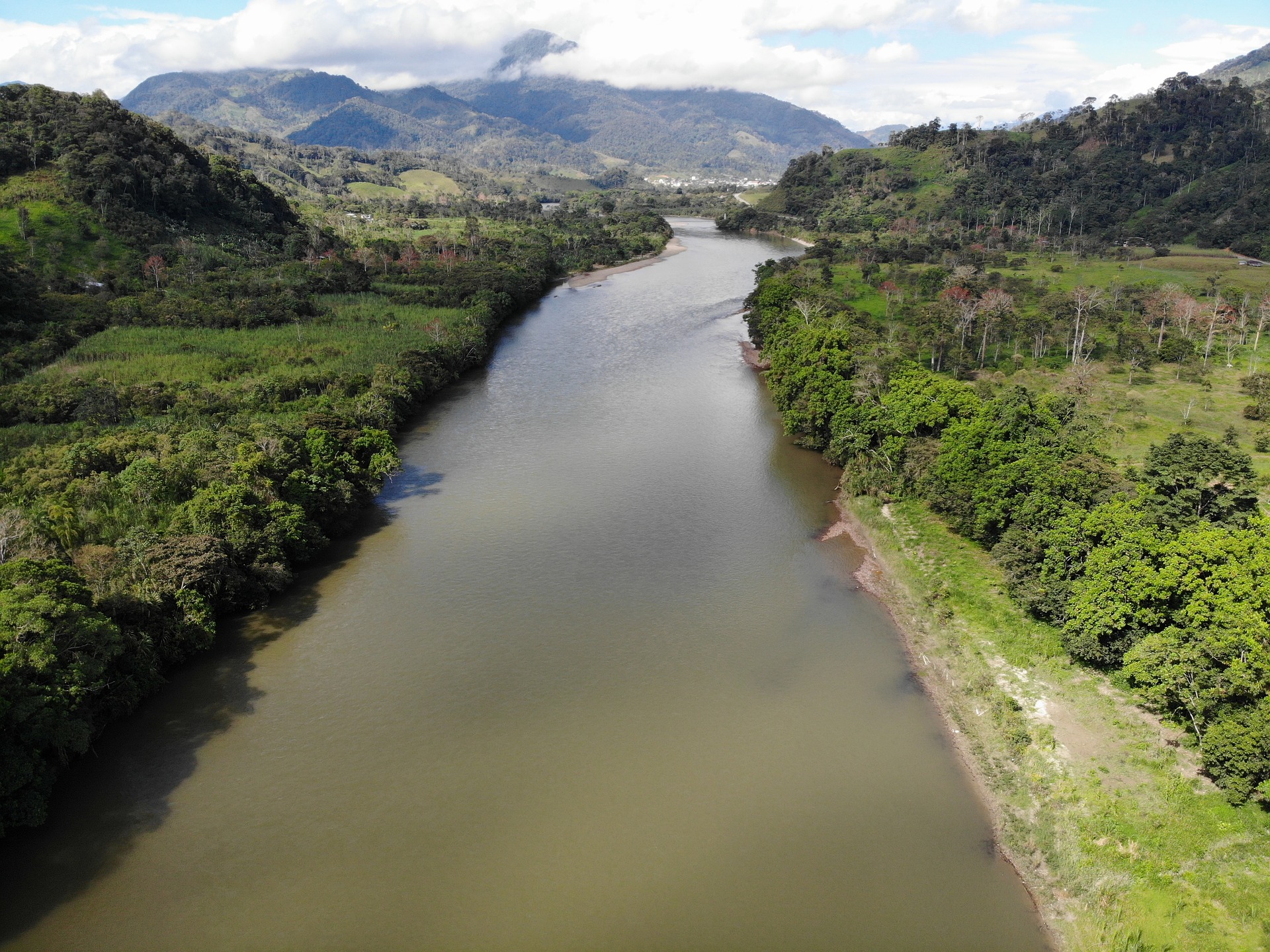 El riu Amazones. Font: Llicència CC. 