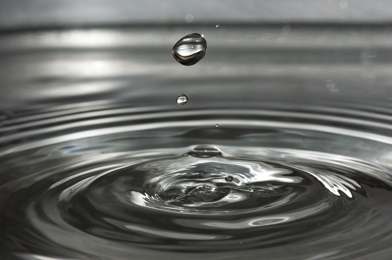 Tothom ha de posar la seva gota d’aigua.  Font: Pixabay